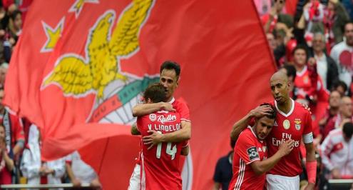 بنفيكا يرفض الخسارة في مباراة تتويجه ويقتنص تعادلا قاتلا أمام بوافيشتا